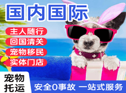 十堰武当山国际宠物托运 【国